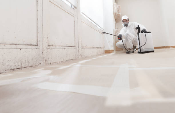 24/7 Emergency Mold Remediation experts in Fairfax, MN